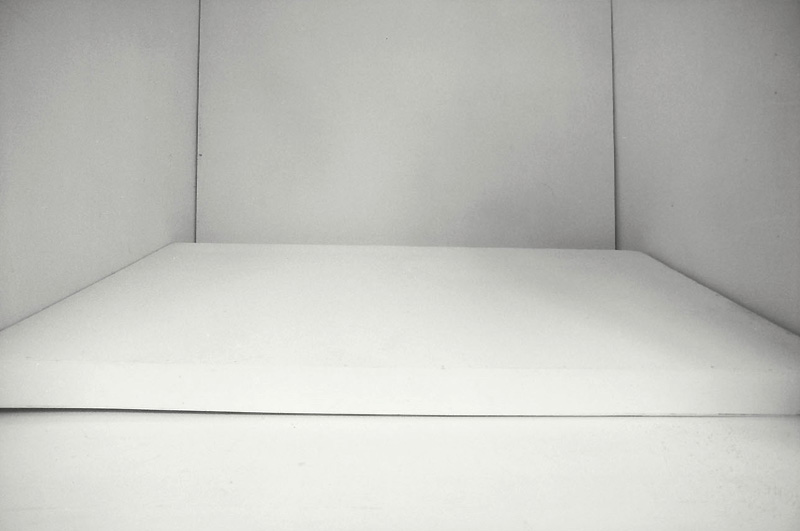 Margot Pilz - The White Cell